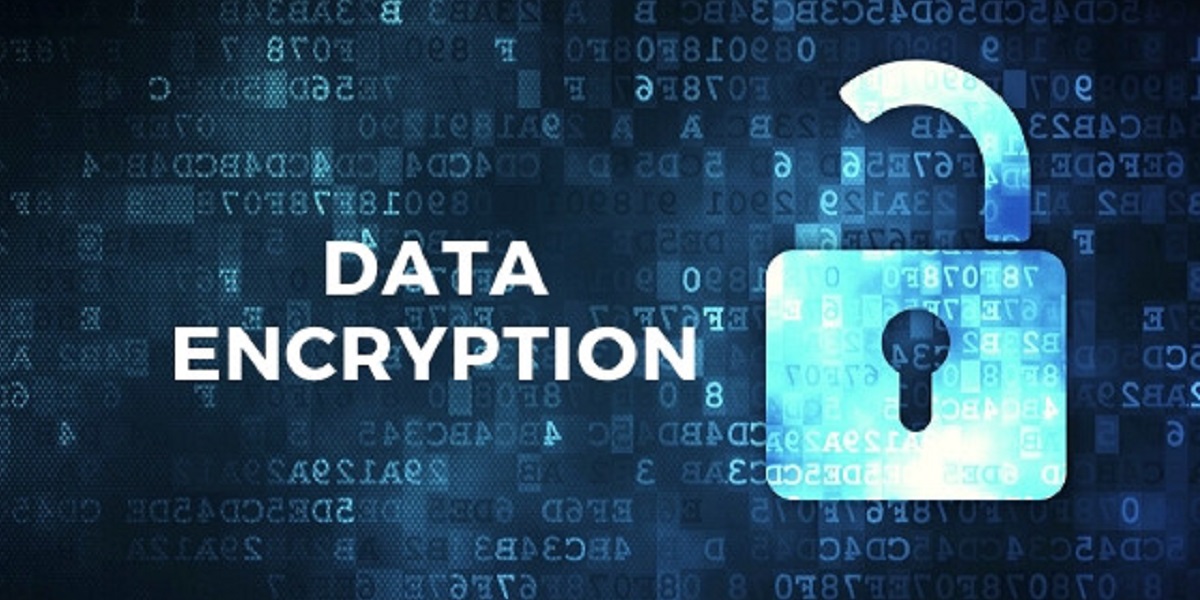 Field level Data Encryption In Dataverse CRM Assets Consulting